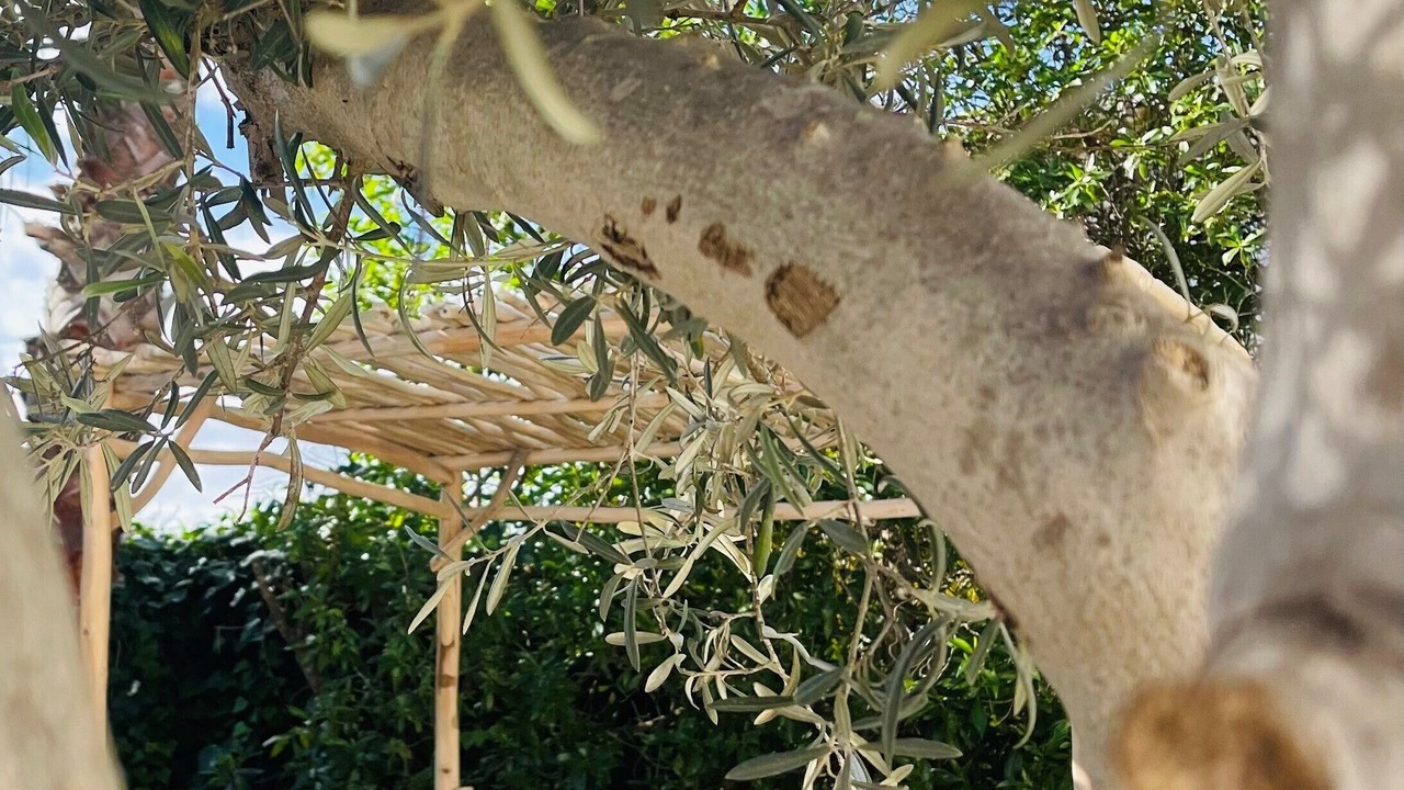 Photo of Outdoor in Panorama