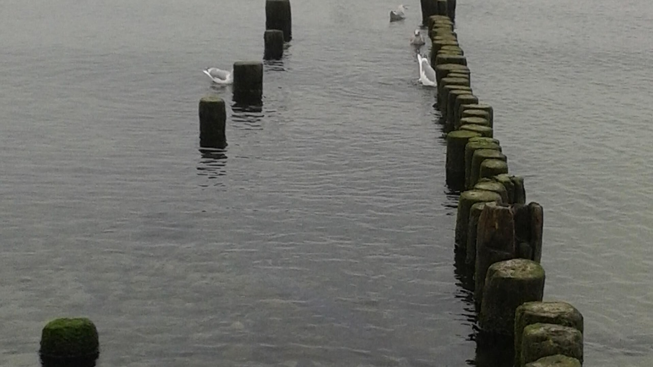 Photo of Others in Wiek