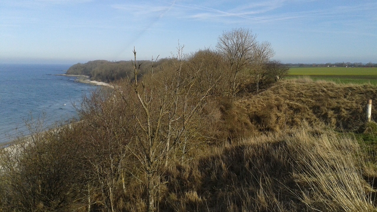 Photo of Others in Wiek