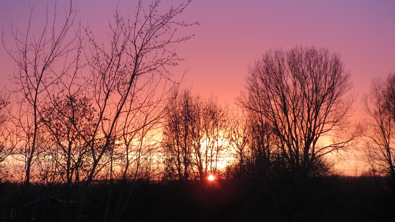 Photo of Outdoor in Wiek