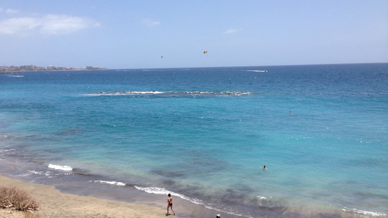 Photo of Others in El Madronal