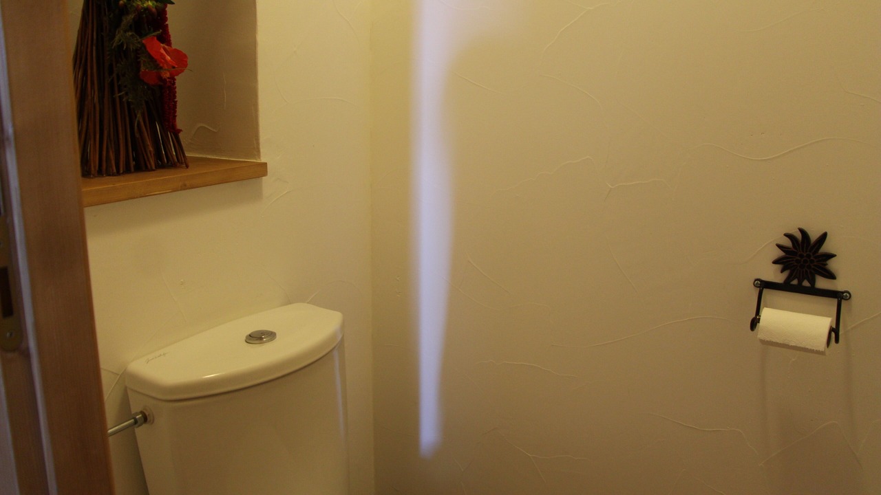 Photo of Bathroom in Bisanne 1500