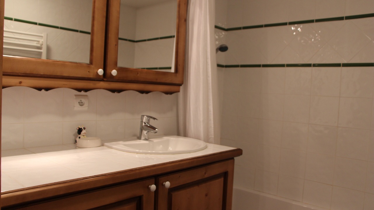 Photo of Bathroom in Bisanne 1500
