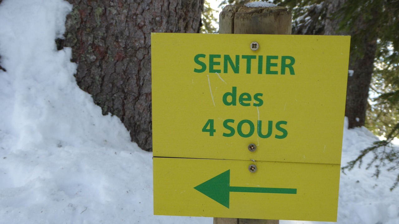 Photo of Outdoor in Bisanne 1500