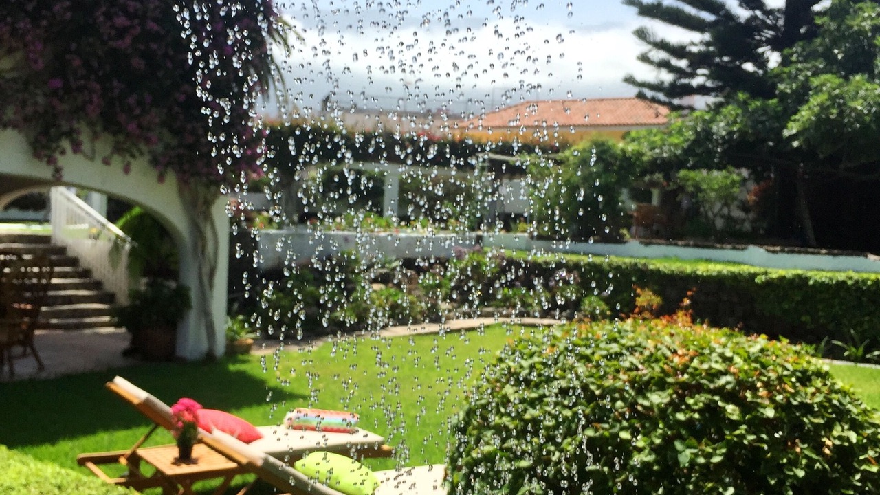 Photo of Patio Balcony in Puerto de la Cruz