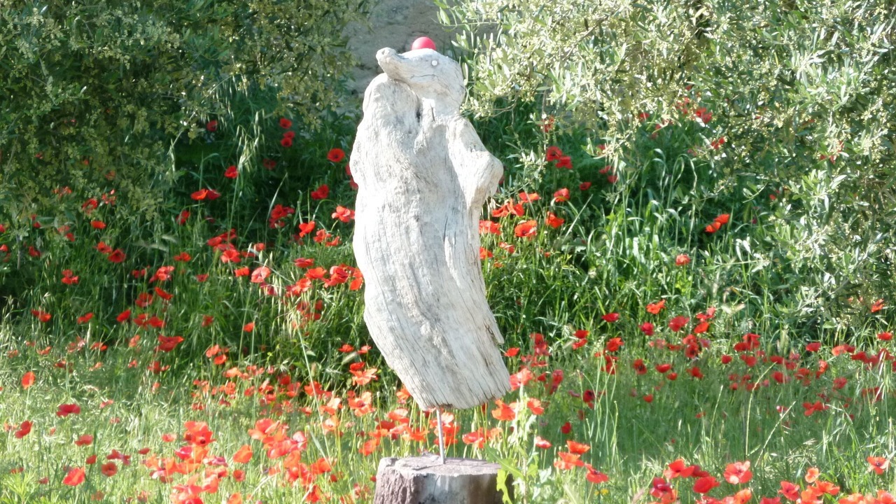 Photo of Outdoor in St.-Remy-de-Provence