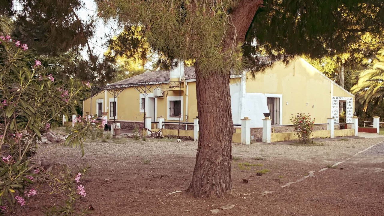 Photo of Outdoor in Puebla de la Calzada