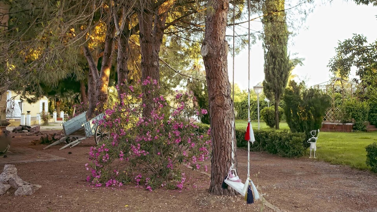 Photo of Outdoor in Puebla de la Calzada