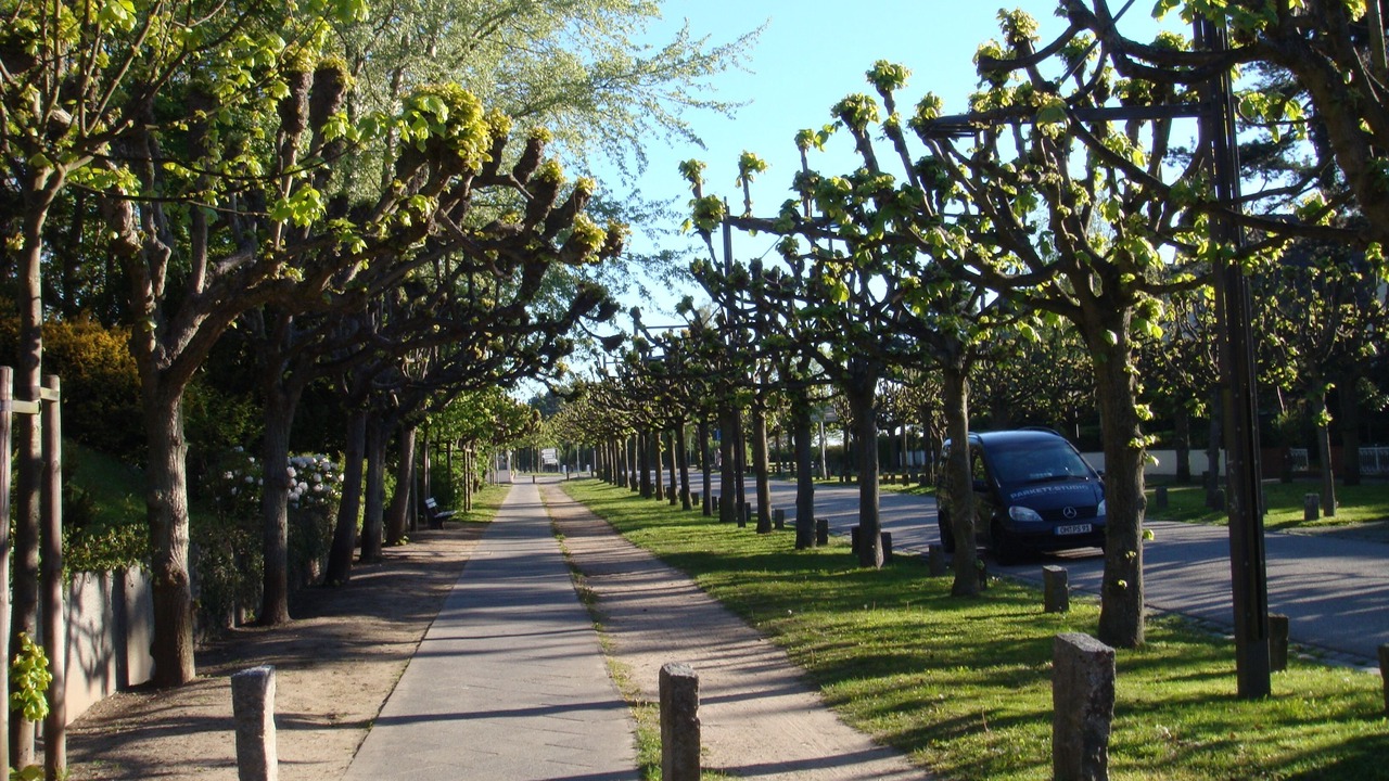 Photo of Outdoor in Alt-Travemunde/Ronnau