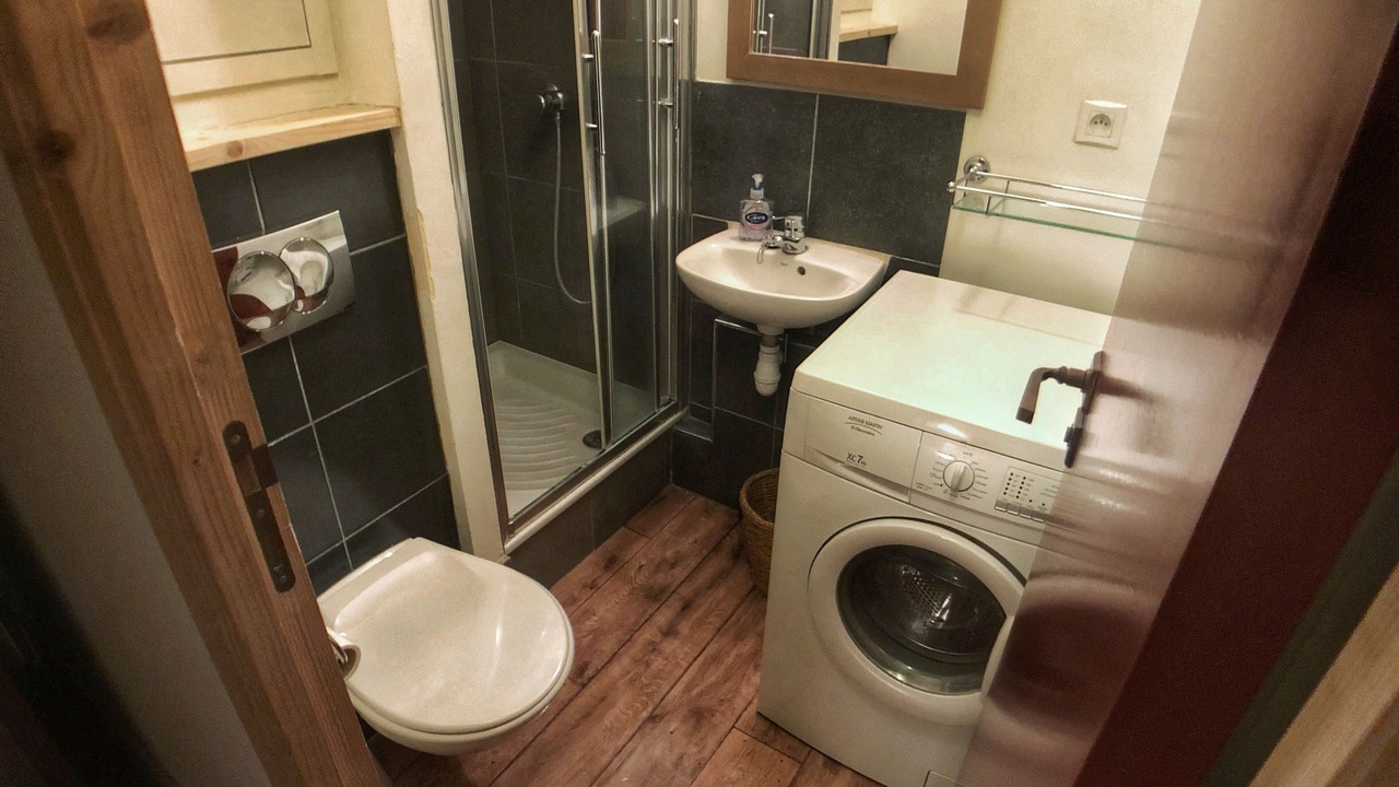 Photo of Bathroom in Avoriaz