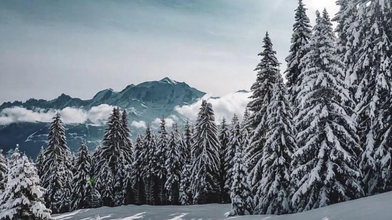 Photo of Others in Megeve