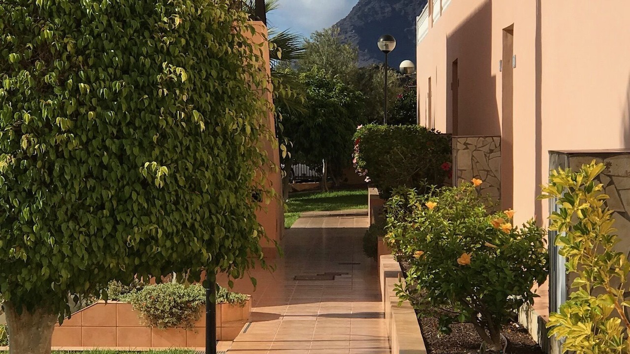 Photo of Outdoor in Puerto de Santiago