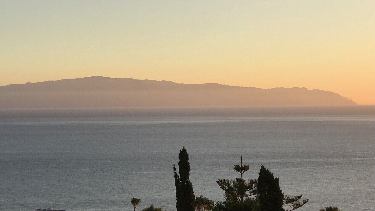 Photo of Others in Puerto de Santiago