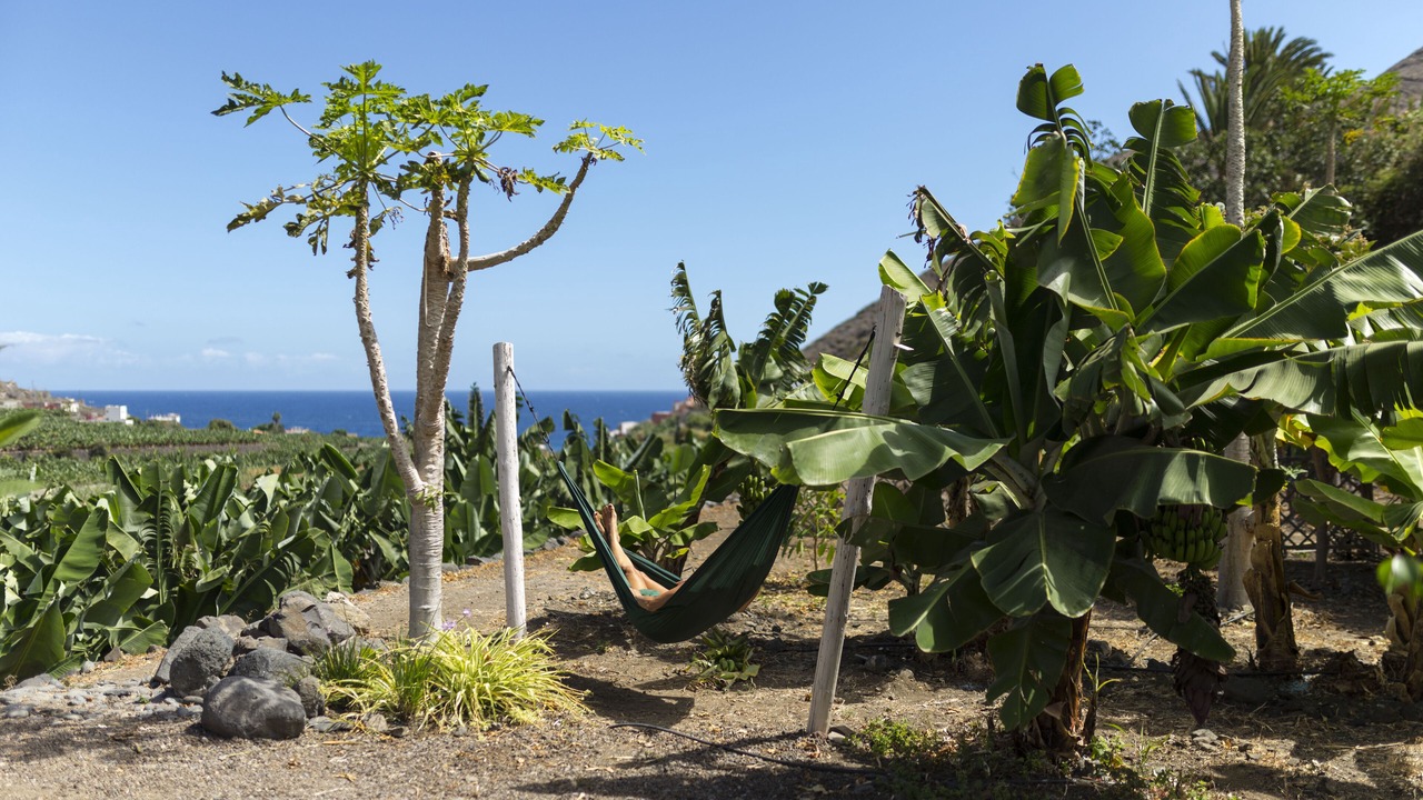 Photo of Outdoor in Hermigua
