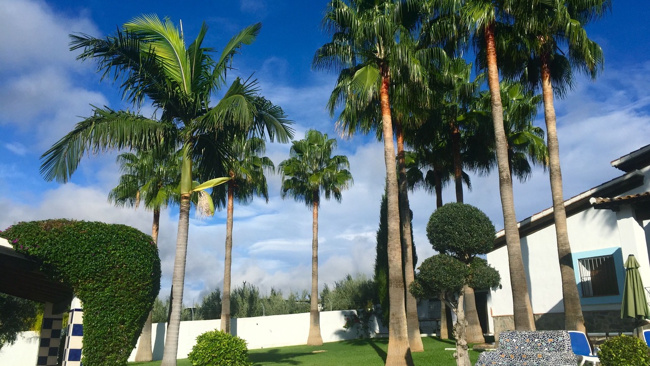 Photo of Outdoor in Coin