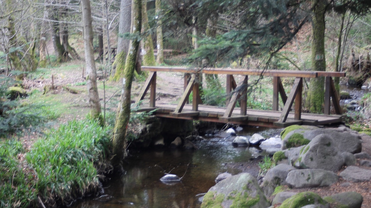 Photo of Outdoor in Gerardmer