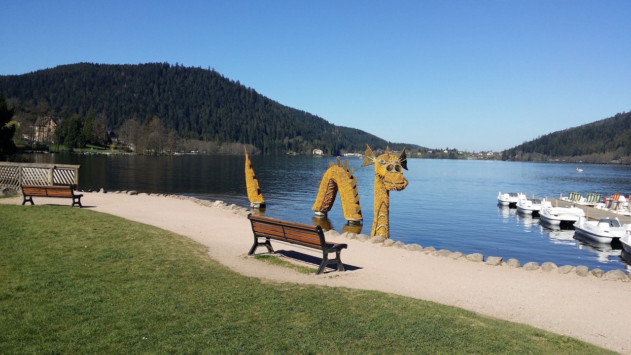 Photo of Others in Gerardmer