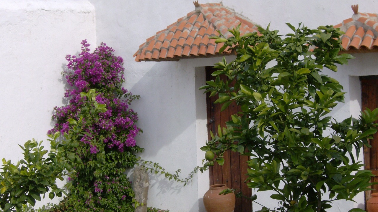 Photo of Outdoor in Trujillo