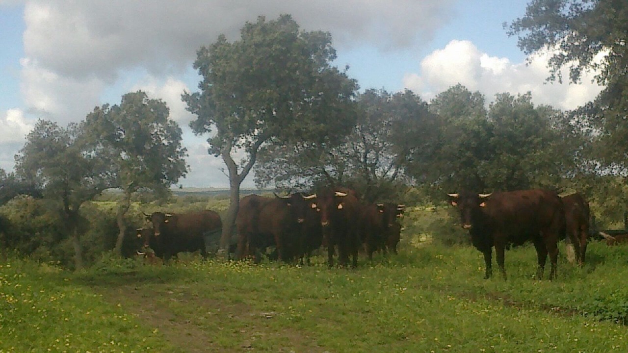 Photo of Outdoor in Trujillo