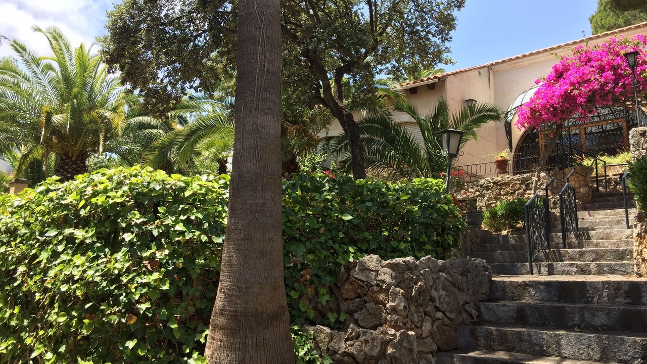 Photo of Outdoor in Son Armadams