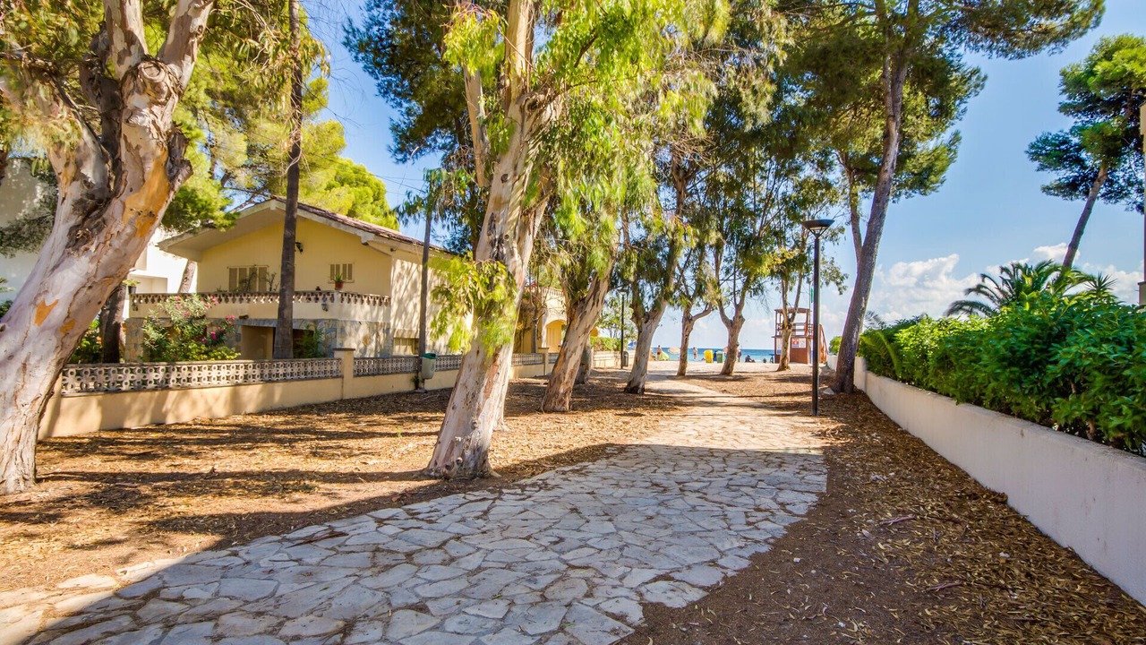 Photo of Outdoor in Alcudia