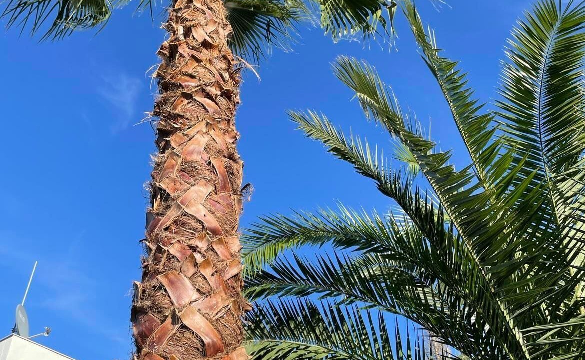 Photo of Outdoor in El Mas Mora