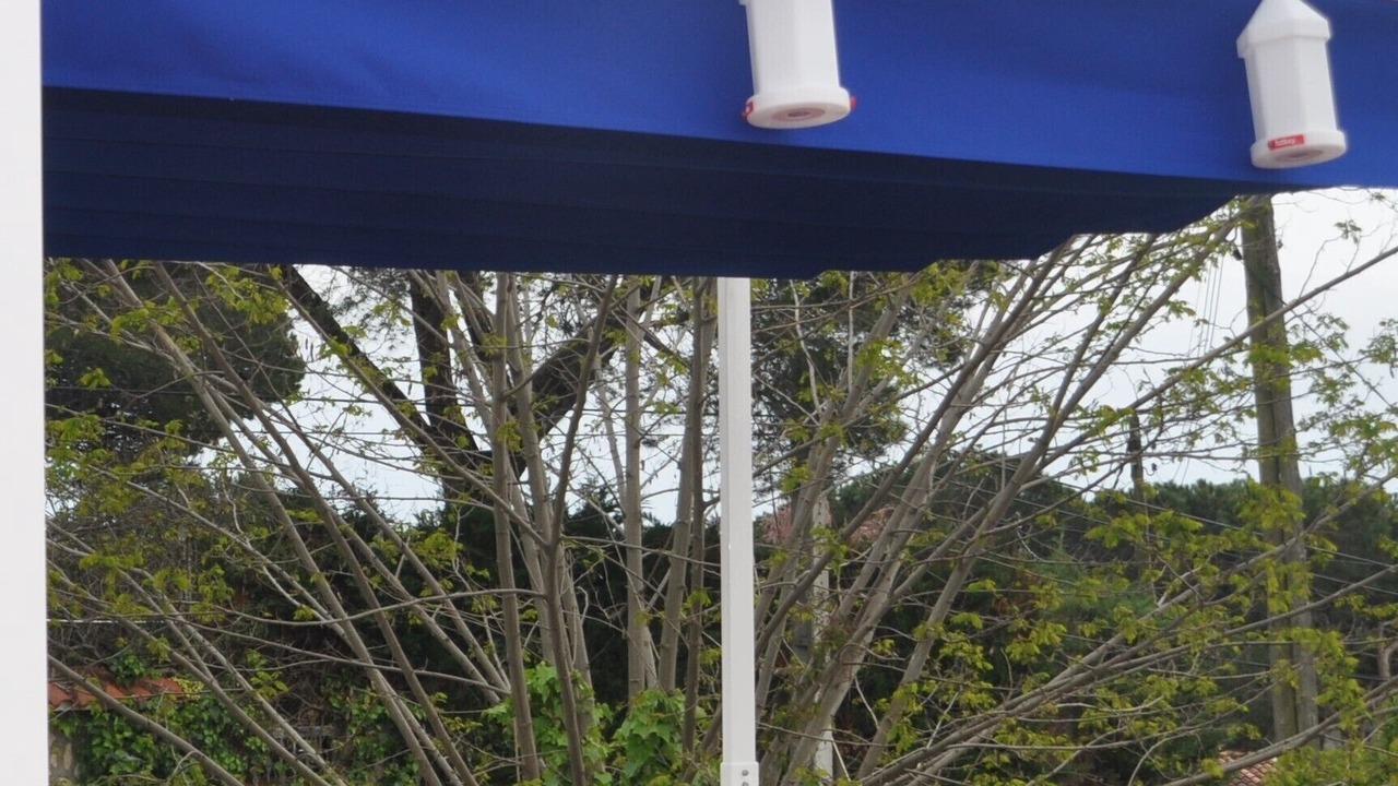 Photo of Outdoor in El Mas Mora