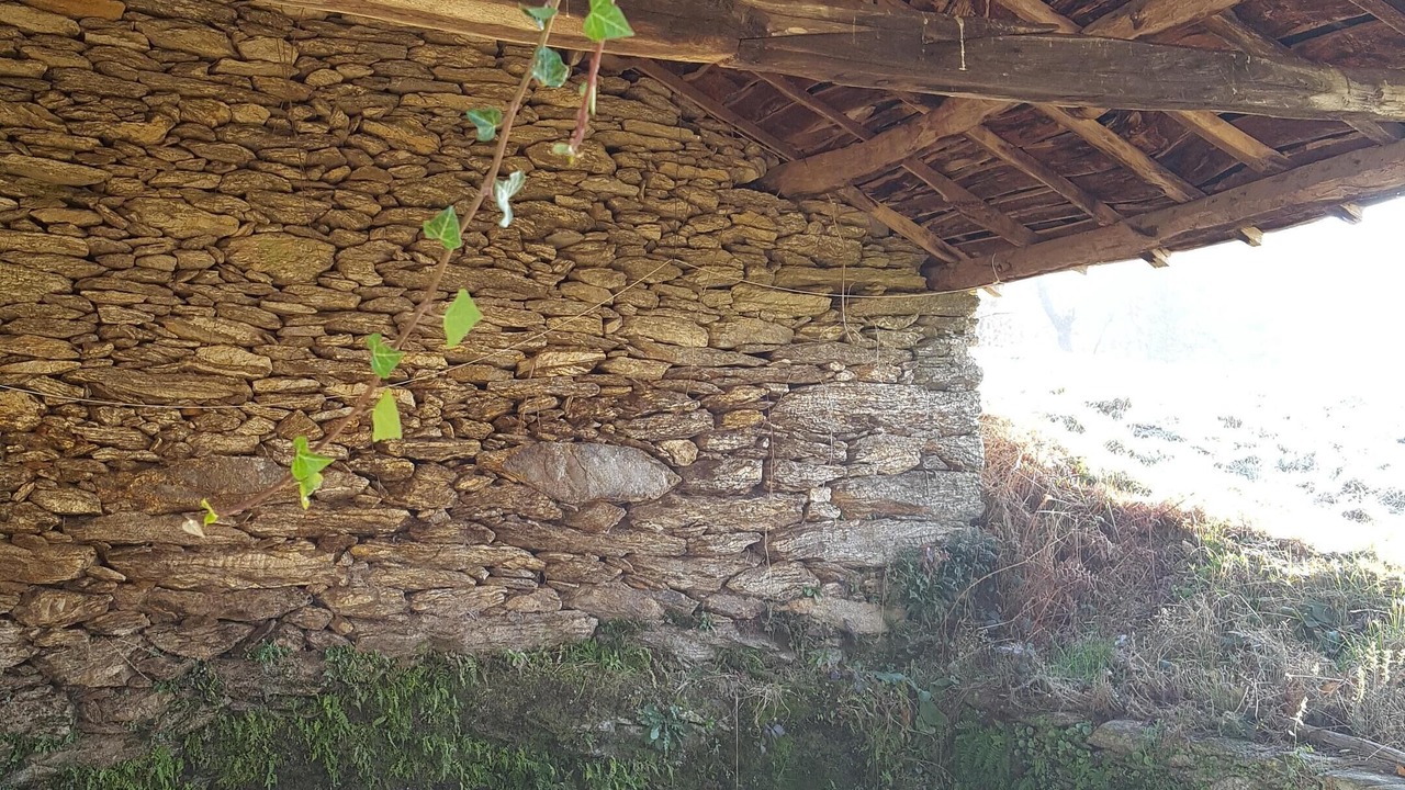 Photo of Others in Viana do Bolo