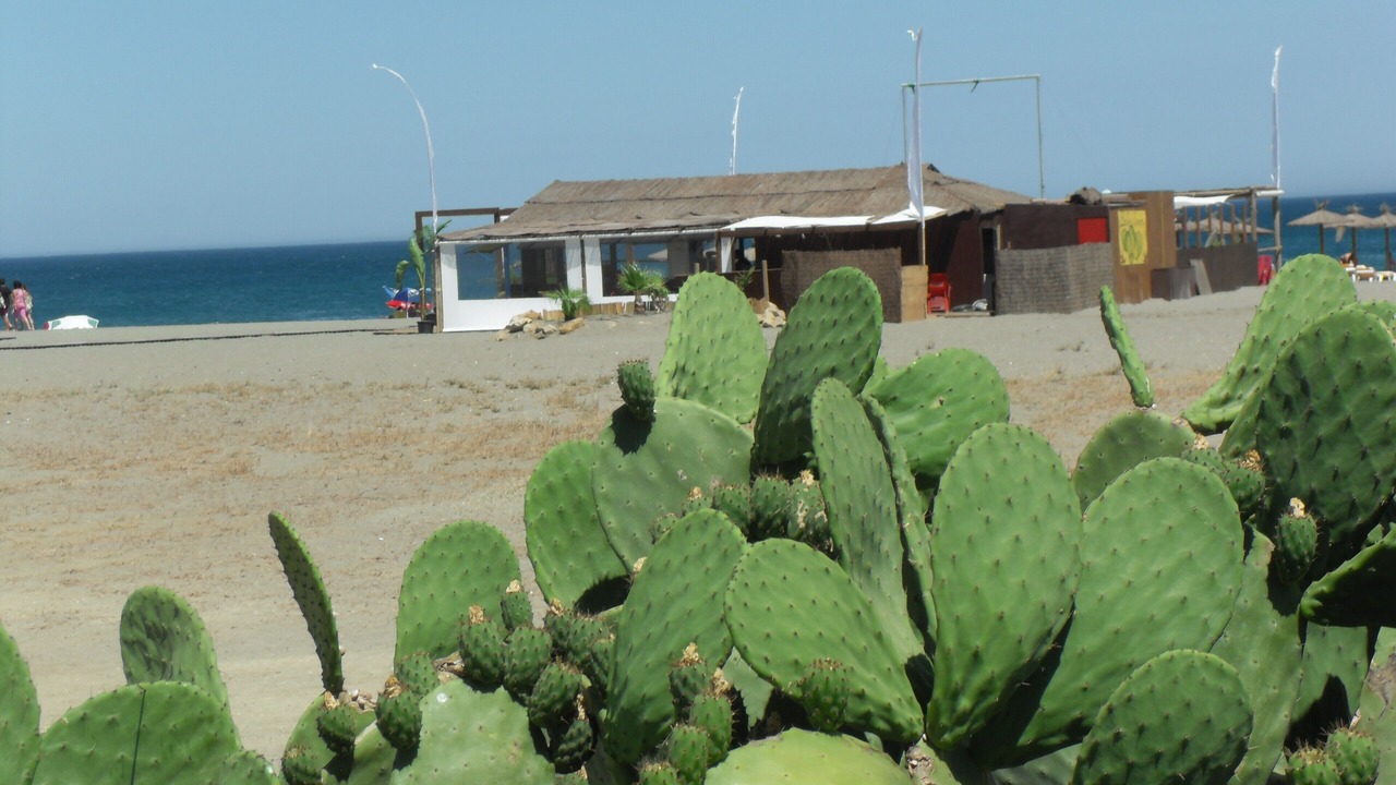 Photo of Others in San Martin del Tesorillo