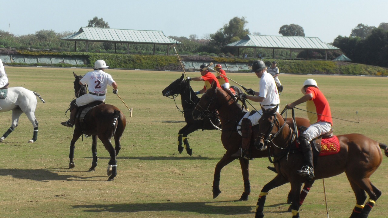 Photo of Others in San Martin del Tesorillo