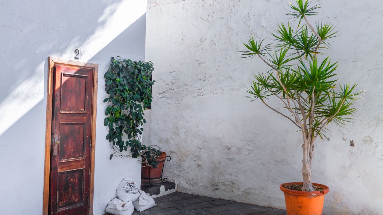 Photo of Outdoor in Arrecife
