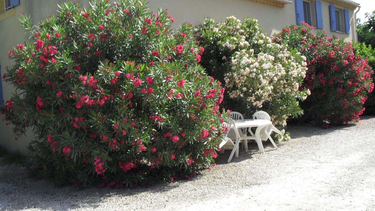 Photo of Outdoor in Tarascon