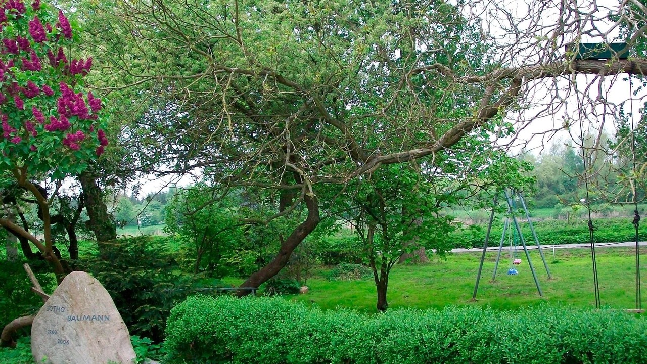 Photo of Outdoor in Breiholzfahre