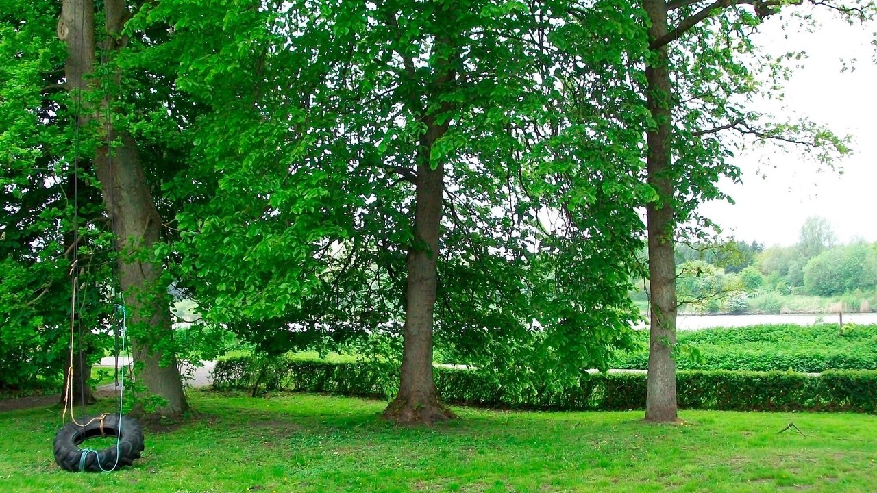 Photo of Outdoor in Breiholzfahre