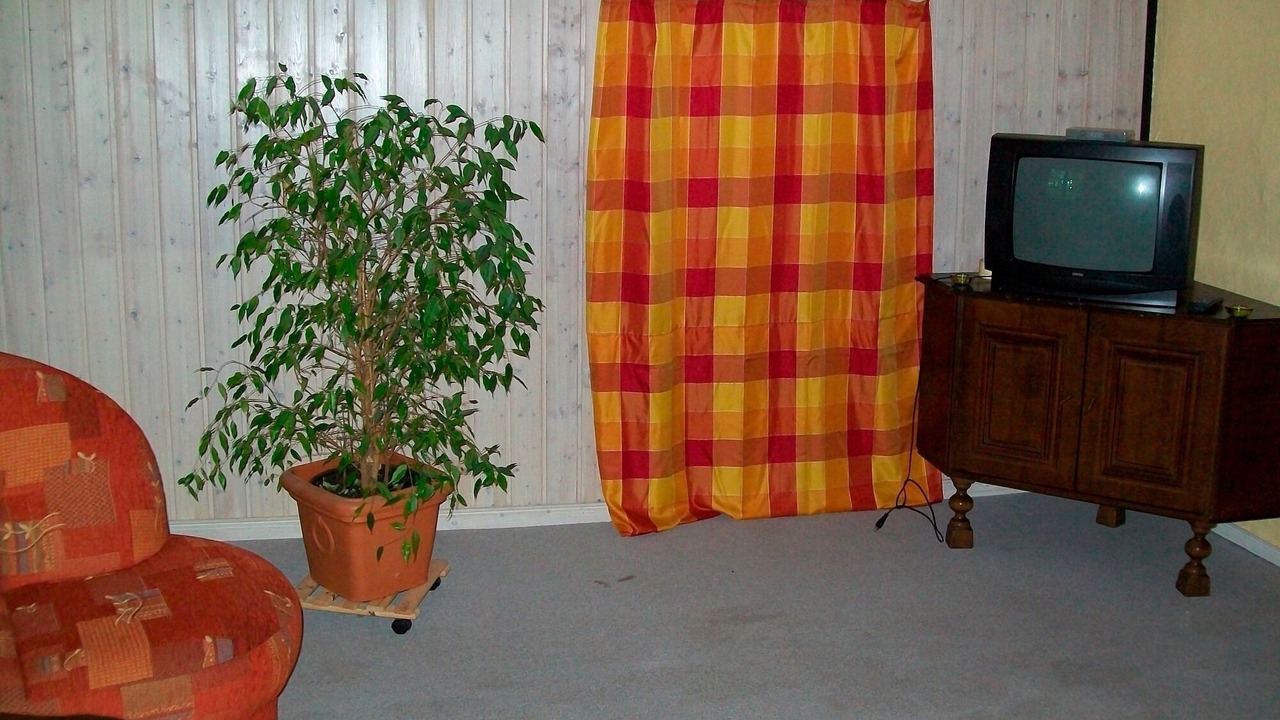 Photo of Others in Breiholzfahre