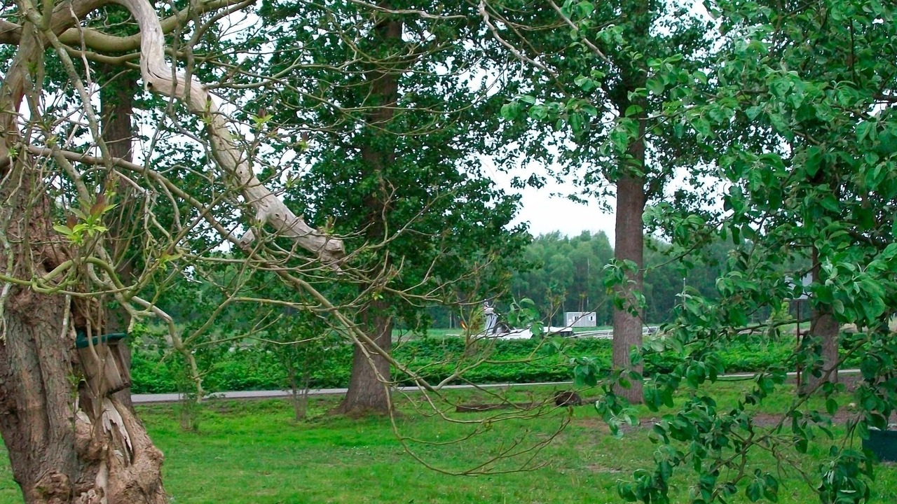Photo of Outdoor in Breiholzfahre