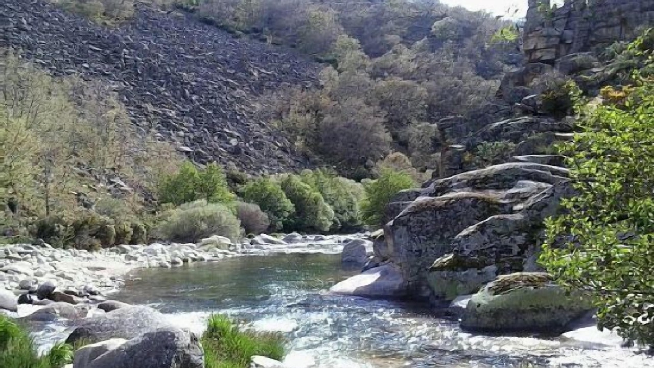 Photo of Others in Navalperal de Tormes