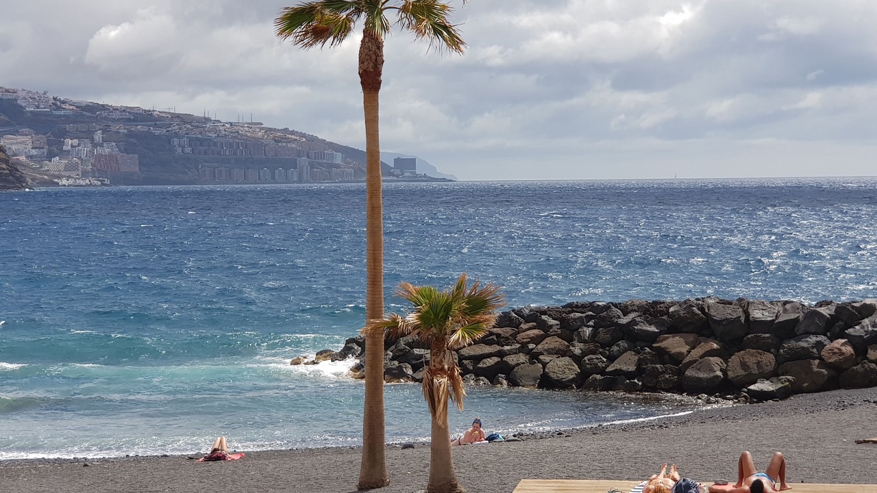 Photo of Others in Las Caletillas