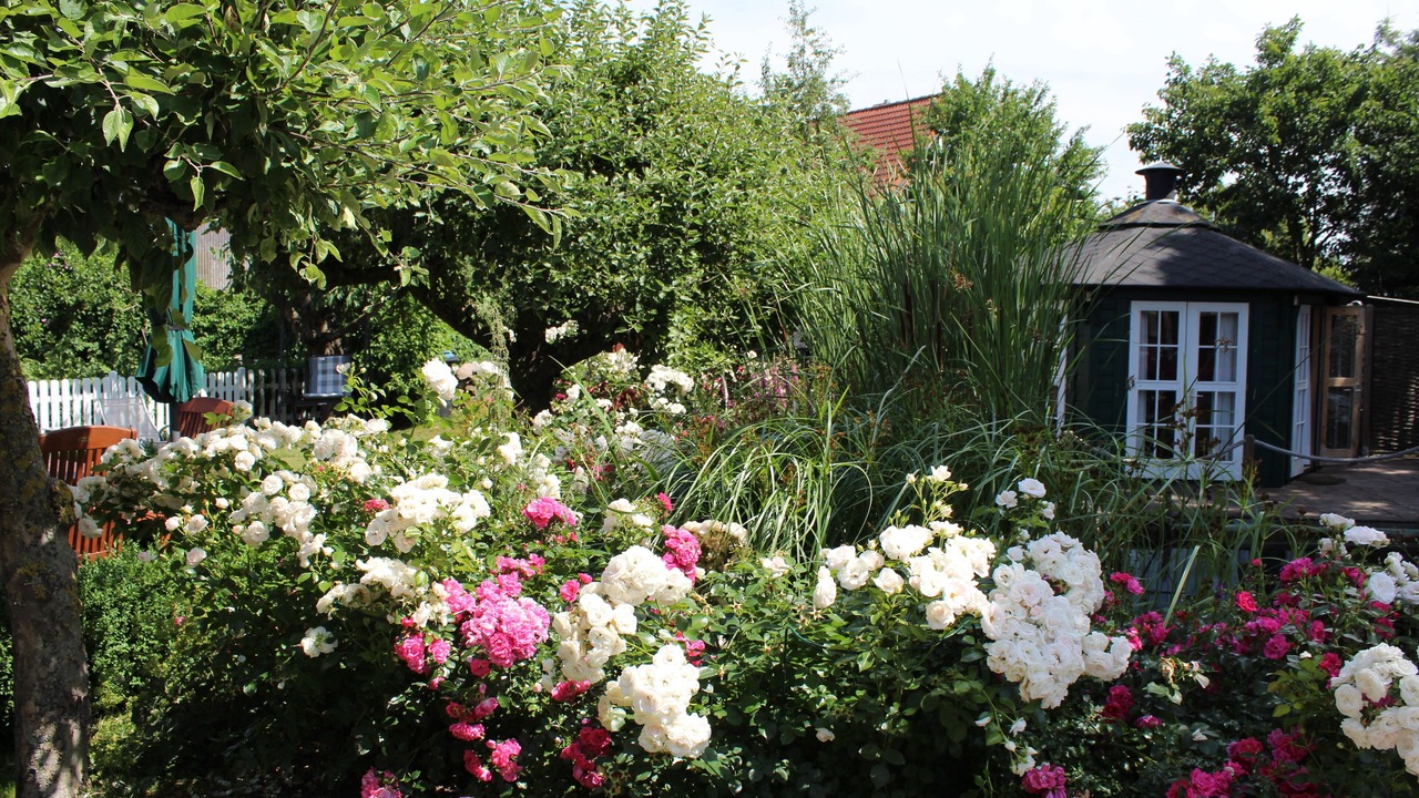 Photo of Outdoor in Riepsdorf