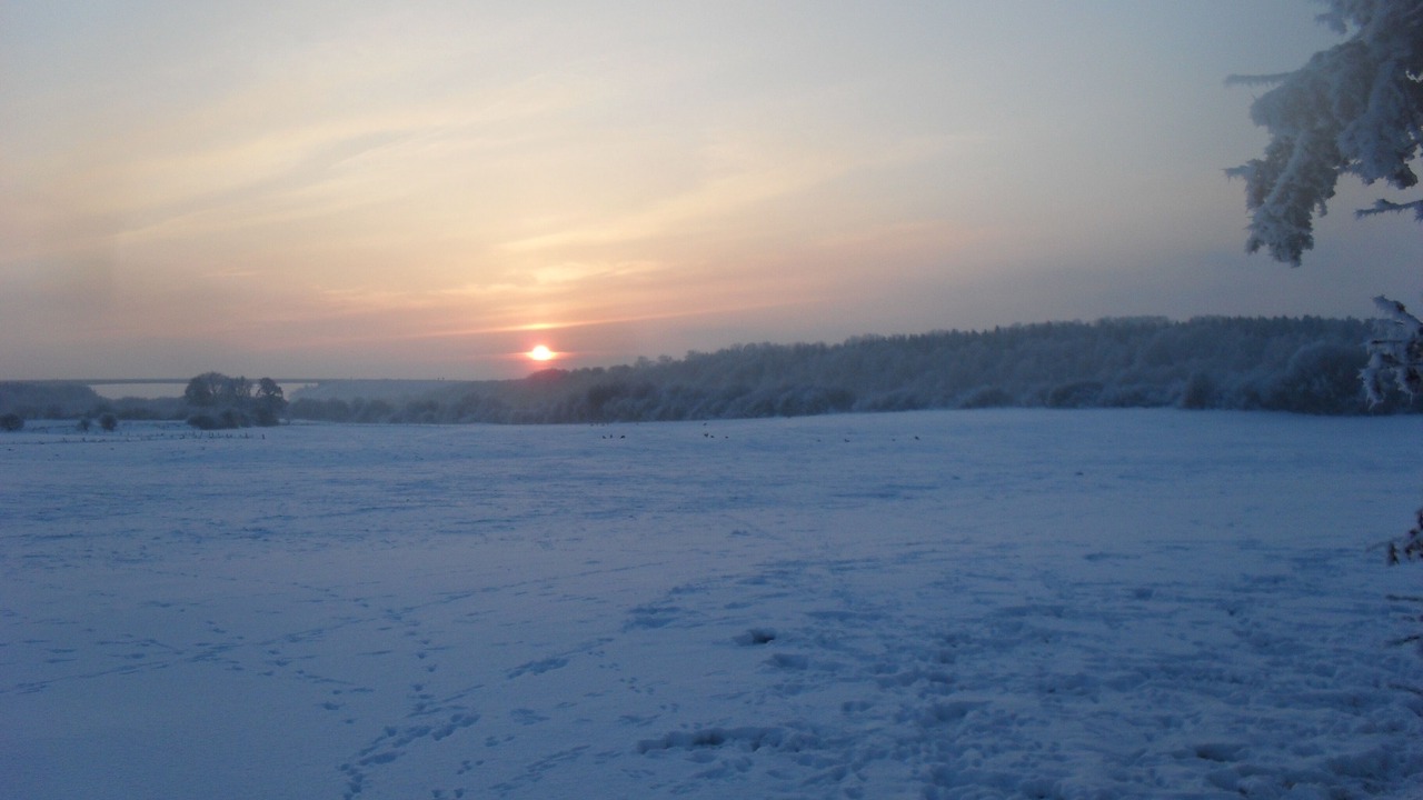 Photo of Others in Bornholt