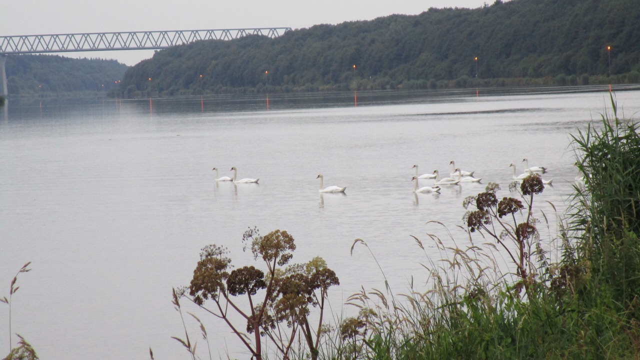 Photo of Others in Bornholt