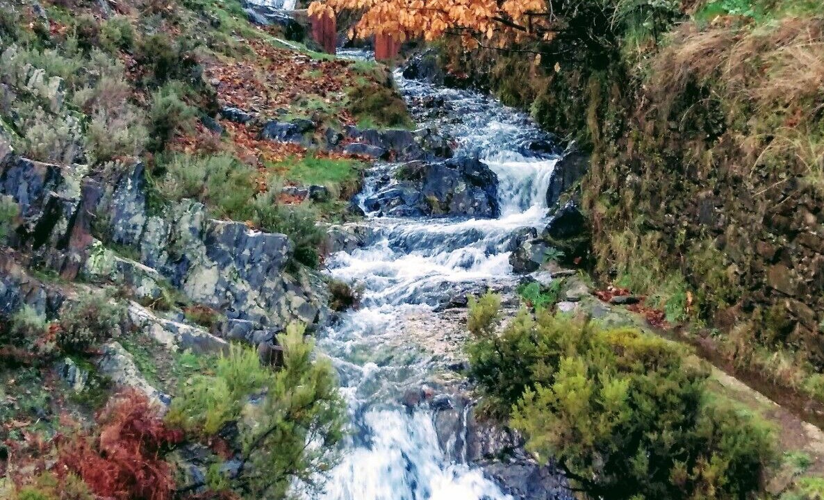 Photo of Outdoor in Erias