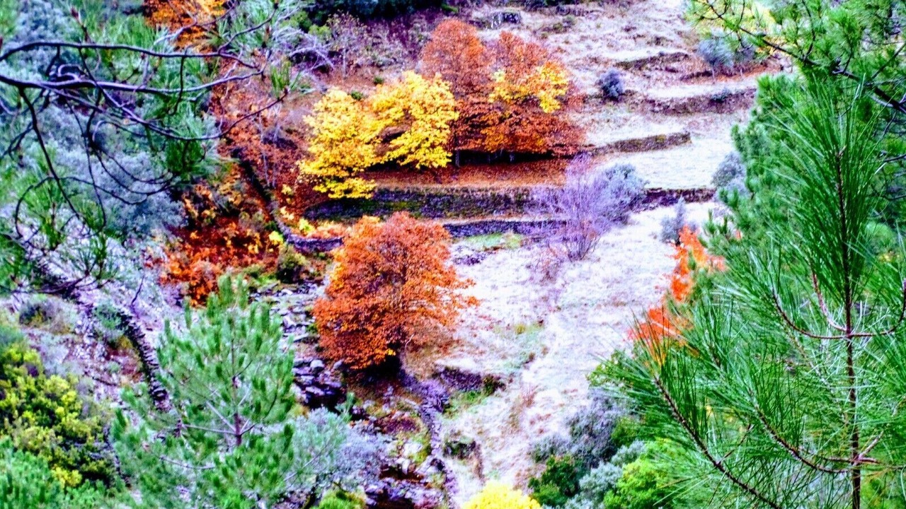 Photo of Outdoor in Erias