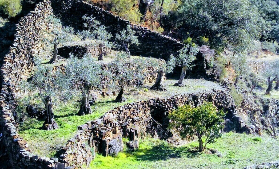 Photo of Outdoor in Erias