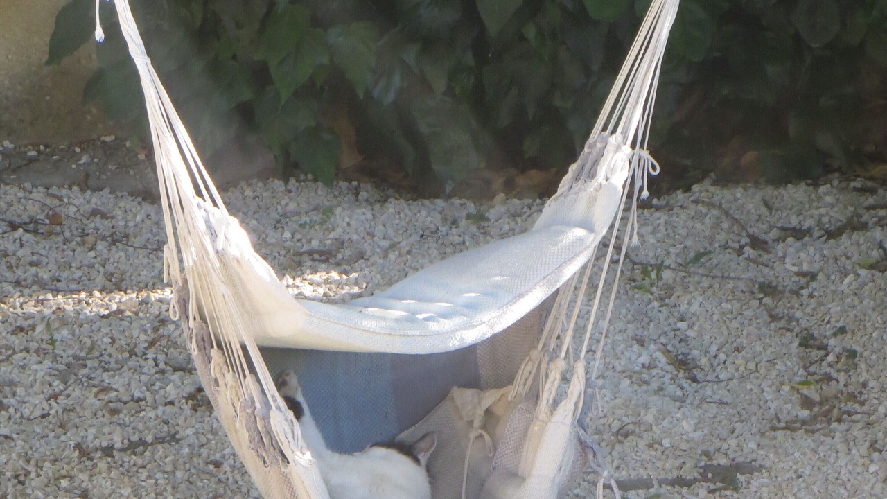 Photo of Outdoor in Fons-sur-Lussan