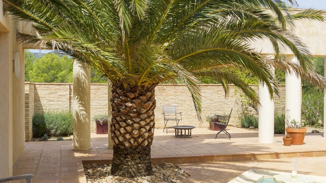 Photo of Patio Balcony in L Almadrava