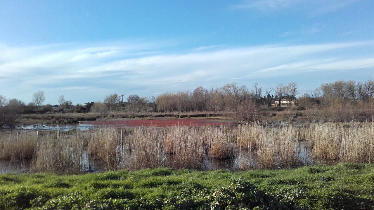 Photo of Others in Clarensac