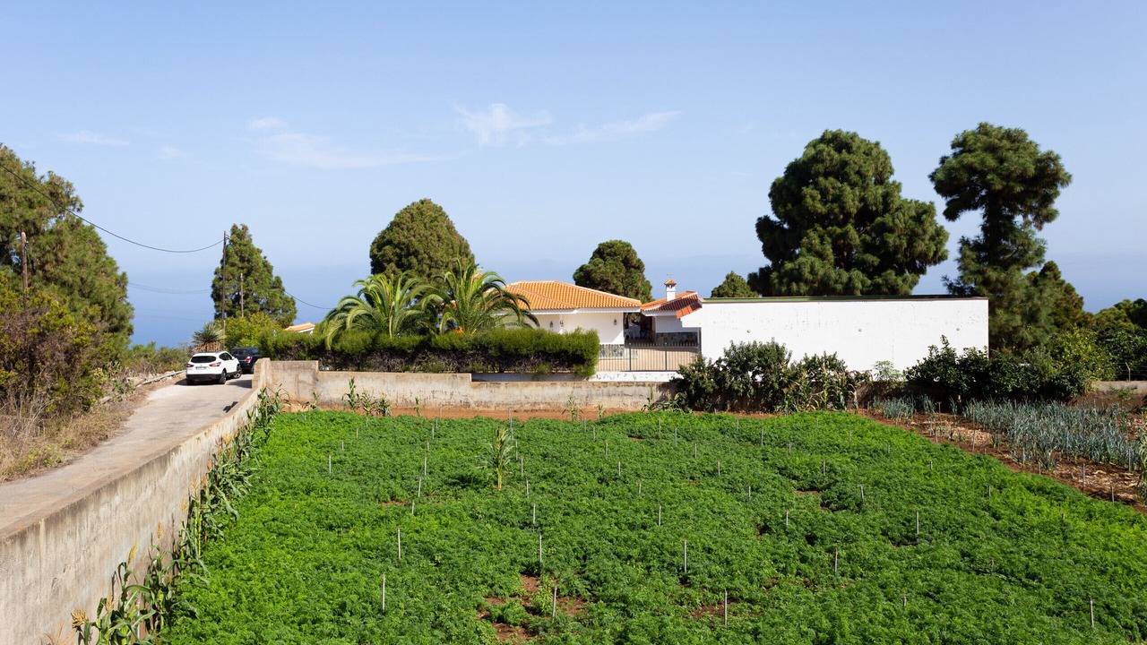 Photo of Outdoor in Buen Paso