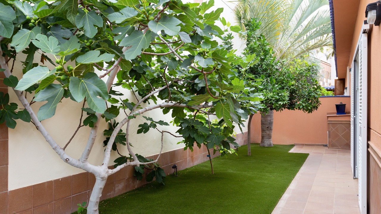 Photo of Outdoor in Santiago del Teide