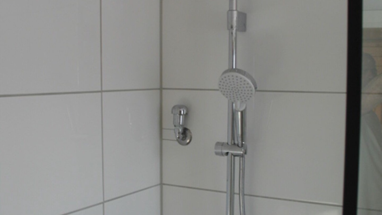 Photo of Bathroom in Damp
